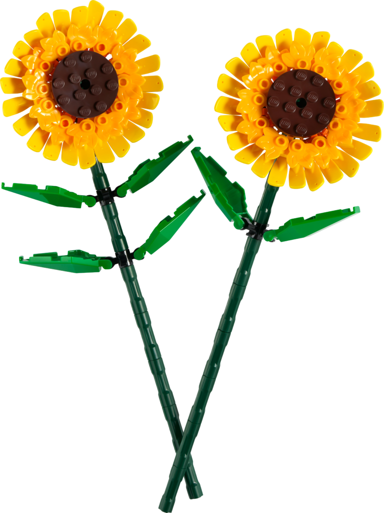 Sonnenblumen