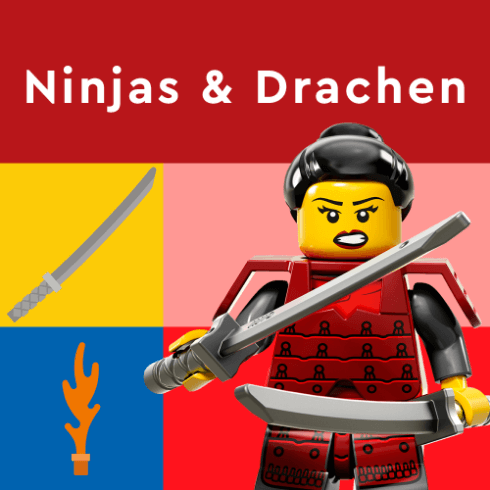 Ninjas & Drachen