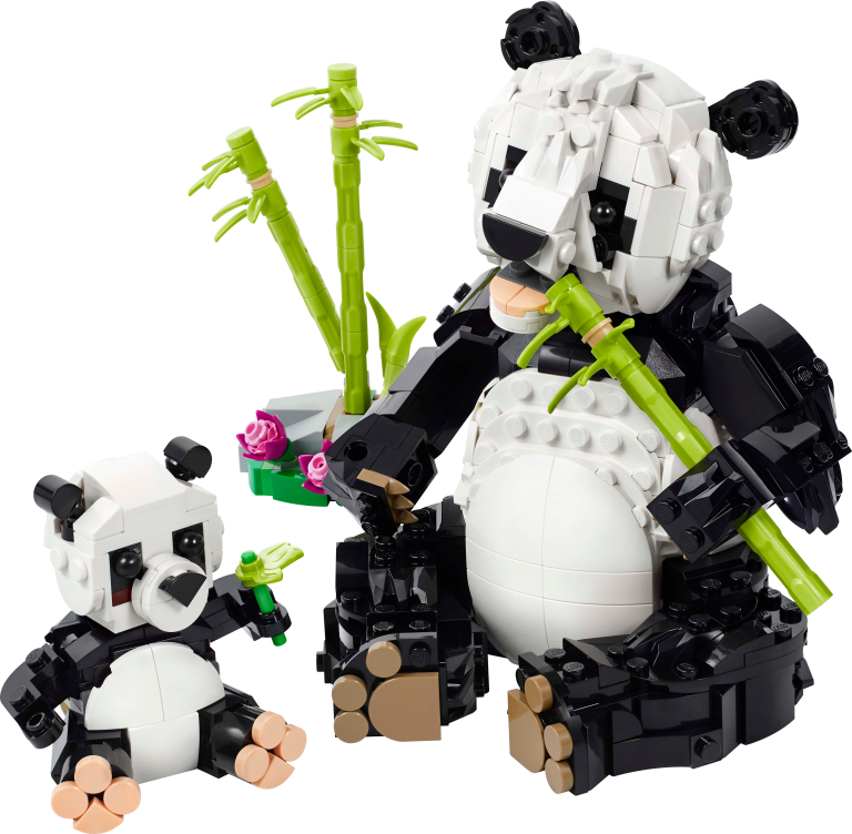 Wilde Tiere: Pandafamilie